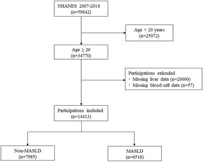 Association of systemic immune biomarkers with metabolic dysfunction-associated steatotic liver disease: a cross-sectional study of NHANES 2007–2018